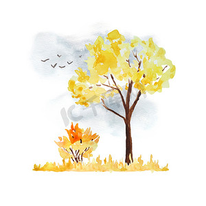 手绘飞鸟摄影照片_水彩手绘插图与橙黄色秋秋树、灌木灰色天空和飞鸟。