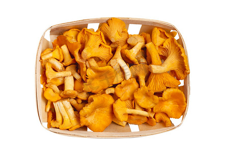 一组食用森林鸡油菌蘑菇，装在白色背景、顶视图的单板木盒中