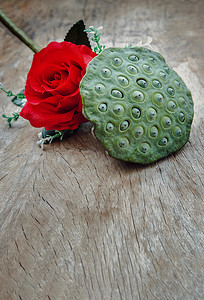 红莲子摄影照片_旧木板背景上的红玫瑰花和新鲜的绿色莲子荚。