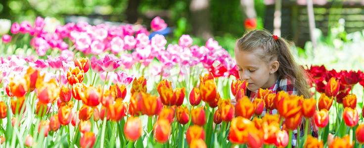 夏日花园里闻着色彩缤纷的郁金香的可爱小女孩