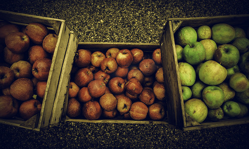 苹果树远景摄影照片_木盒子里的苹果