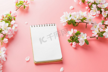 粉色春天模板摄影照片_粉红色背景上盛开的春天樱花，带有记事本空间，用于问候信息。