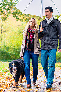 下雨狗摄影照片_女人和男人在秋雨中带着狗散步