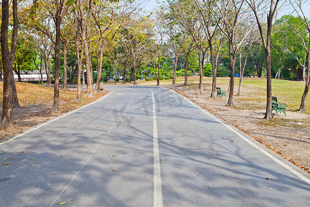 宁静园林中的蜿蜒小路