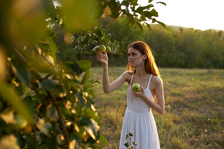 白裙摄影照片_大自然中穿白裙的女人从果树上摘苹果