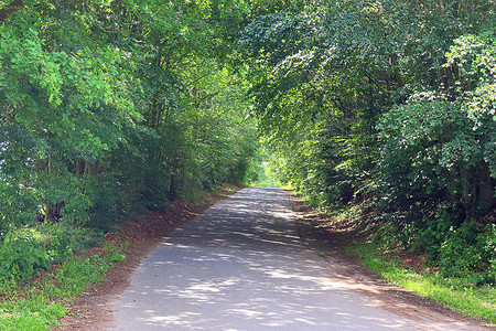 乡村道路上的美丽景色，也没有田野和树木