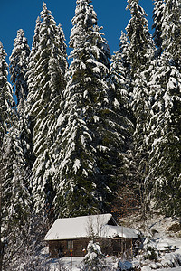 雪中小屋摄影照片_荒野中覆盖着新雪的小木屋