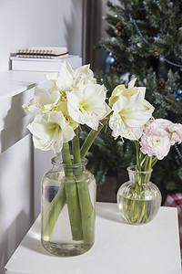 玻璃花瓶里放着一束粉红色的波斯毛茛花，假白色壁炉前的白色桌子上放着两件包装好的礼物。