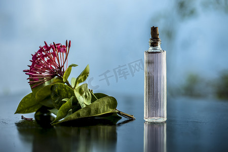 木质表面上红色五角花或埃及星花或茉莉花的特写，其提取的喷雾或香水装在透明玻璃瓶中。
