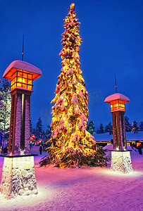北极圈摄影照片_罗瓦附近北极圈圣诞老人村的圣诞树