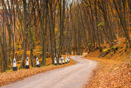 秋天的午后，蜿蜒的山路被前方包围