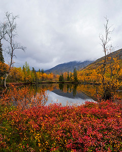 半岛背景摄影照片_在多云天气的背景山峰上的秋天五颜六色的苔原。