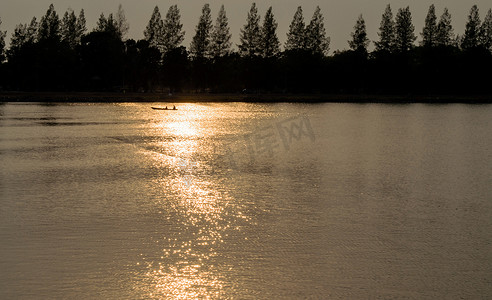 剪影松树和反射阳光在河上