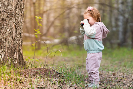 白桦林中的一个女孩走近了一个蚁丘，正在通过儿童望远镜观察蚂蚁。