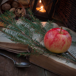 圣诞树树枝上的红黄苹果和黑灯笼或烛手附近的一本旧书