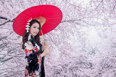 美丽的年轻亚洲女子穿着传统的日本和服，带着红伞和樱花。