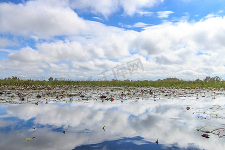 奥卡万戈三角洲的风景图片。