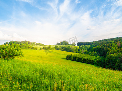 捷克共和国夏季风景，郁郁葱葱的绿色草地、森林、蓝天、白云和明亮的阳光
