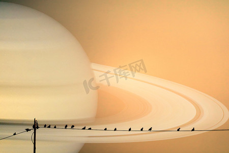 土星行星背面剪影电力线上的鸟