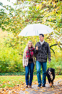 女人和男人在秋雨中带着狗散步