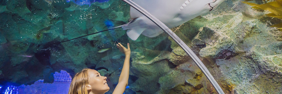 横幅旅行摄影照片_年轻女子在海洋馆隧道中触摸黄貂鱼横幅，长格式