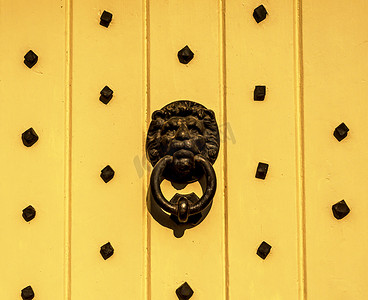 形状门摄影照片_门上有狮子头形状的黄铜门环，很漂亮