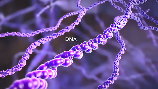 生物学中的细胞核和 DNA。