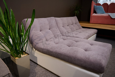 现代舒适长椅的侧视图，在一家家具店的陈列室中展示，供出售。