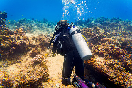 鳍状物摄影照片_热带珊瑚礁水肺潜水的女潜水员在热带海洋