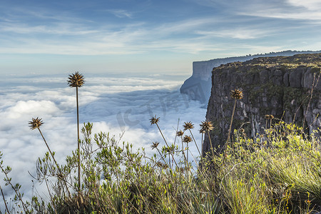 tepui摄影照片_从 Roraima Tepui 上 The Mist - Venez 的景观