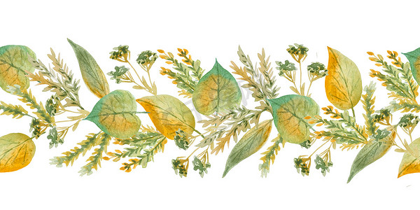 边框装饰叶子摄影照片_无缝手绘水彩水平边框与绿色黄色野生草本植物在林地森林中留下叶子。