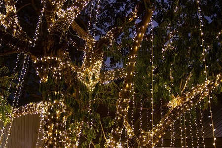 夜间花园树上的 LED 串灯电缆