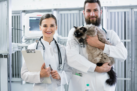 动物诊所重症监护室两名带猫的兽医