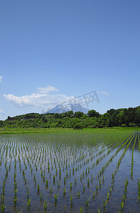 岩手山和田园风光