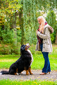 秋天公园里的女孩训练她的狗服从