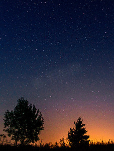 夜空星空和夕阳背景下低矮树木的剪影。