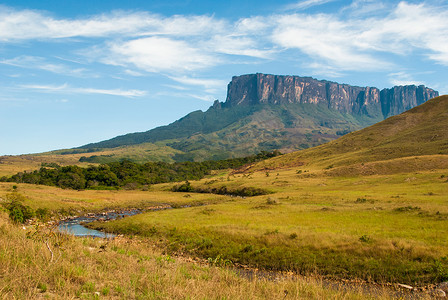 Kukenan Tepui, 大萨瓦纳, 委内瑞拉