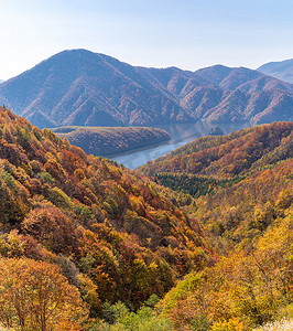 从东湖线眺望中津川峡谷