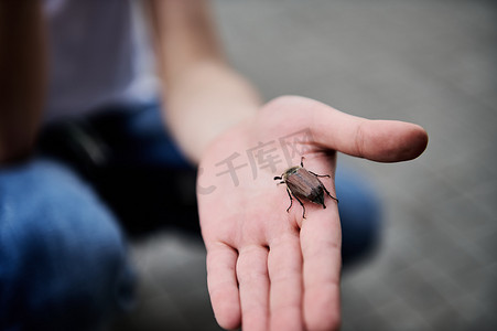 冬至教育摄影照片_拿着春天甲虫的孩子的手特写镜头。