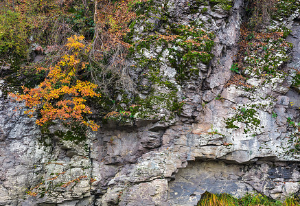 秋天有植物的岩石悬崖