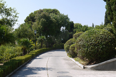 城市公园里的小巷，有修剪整齐的圆形和矩形灌木
