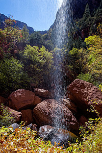 锡安国家公园的小瀑布