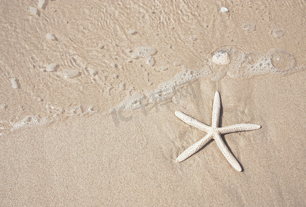 沙滩上的海星和清澈的海水