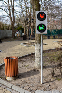 加里宁格勒地区泽列诺格拉茨克市的街道上设有猫宠物友好型红绿灯