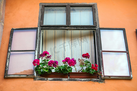 粉红色的门面，有窗户和鲜花，来自锡吉什瓦拉市老行政区