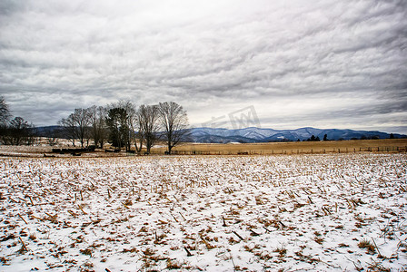 雪覆盖的农田，背景是山脉
