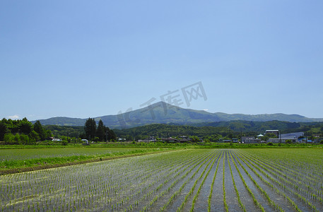 日本风情摄影照片_希梅尔卡米山和田园风光