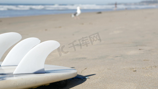 用于冲浪的冲浪板位于美国加利福尼亚州海岸的沙滩上。