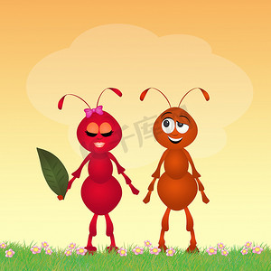 恋爱中的蚂蚁