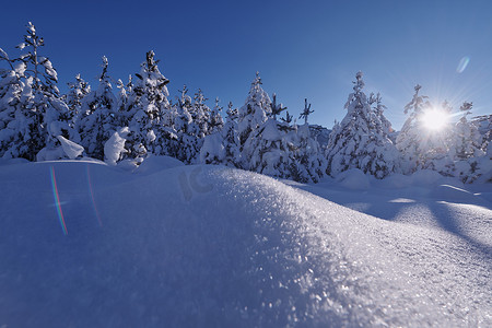 与新鲜的积雪的森林和山的冬天日出
